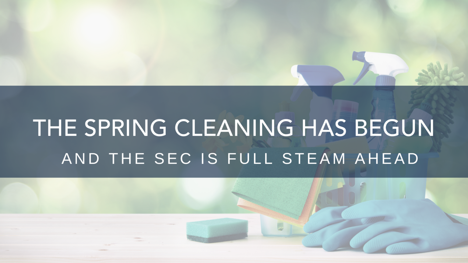 Spring Cleaning Has Begun – And The SEC Is Full Steam Ahead!